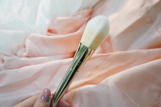 12211983_428420747356864_27357697_n